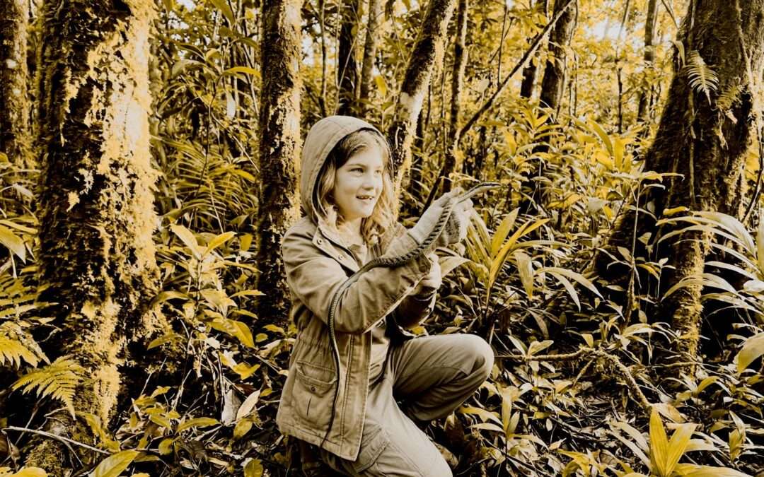 Den Namen tanzen – Waldorfpädagogik richtig verstehen und häufige Missverständnisse aufklären