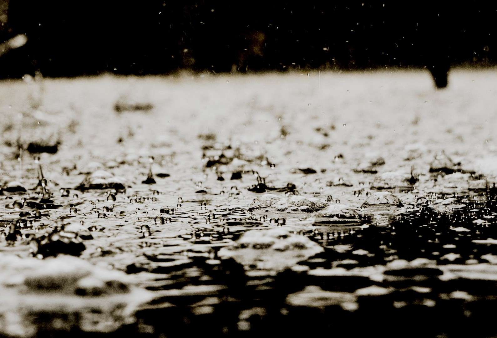 Der Geruch von Regen Bild