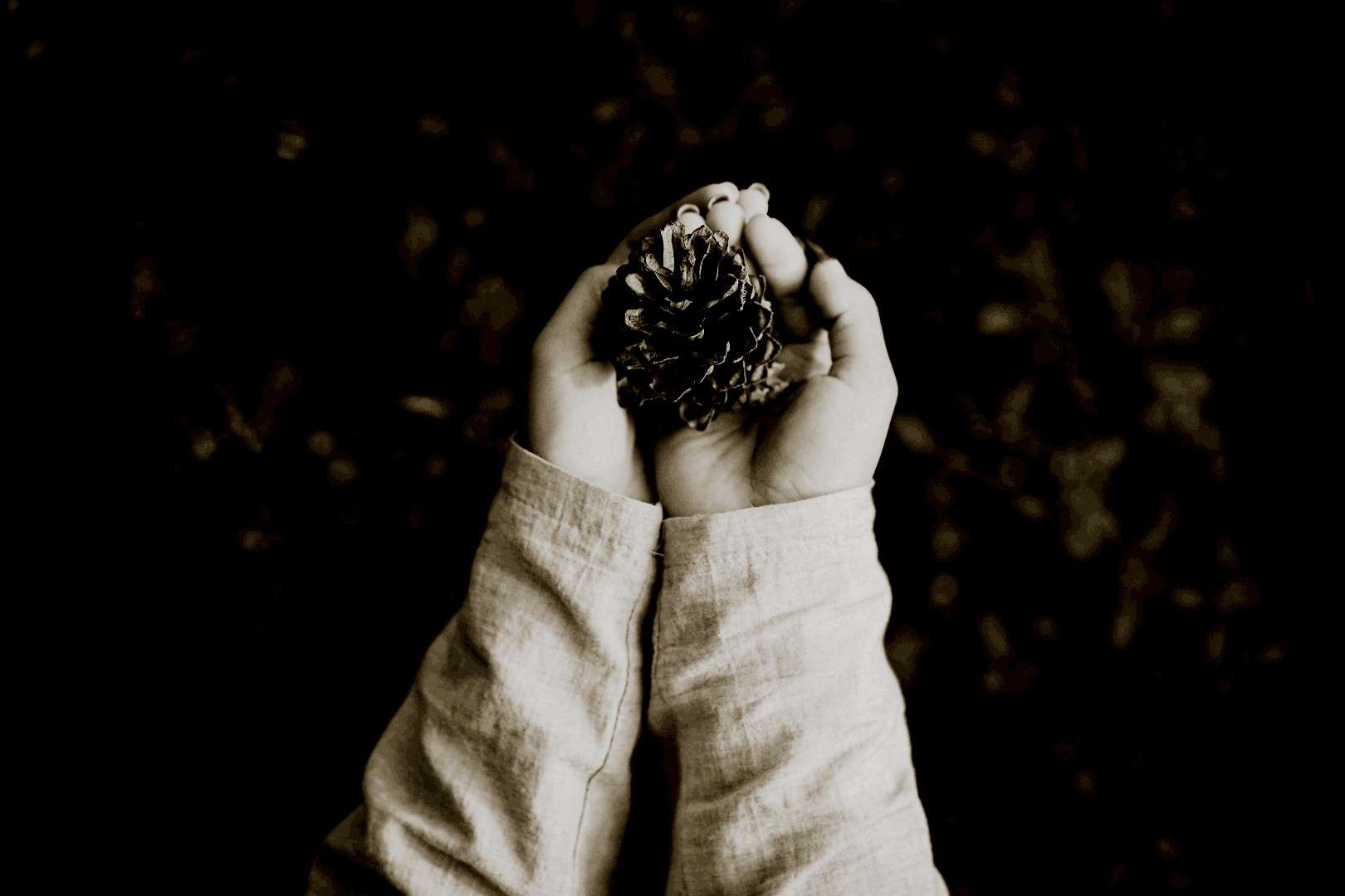 Doomsday Vault Visualisierung